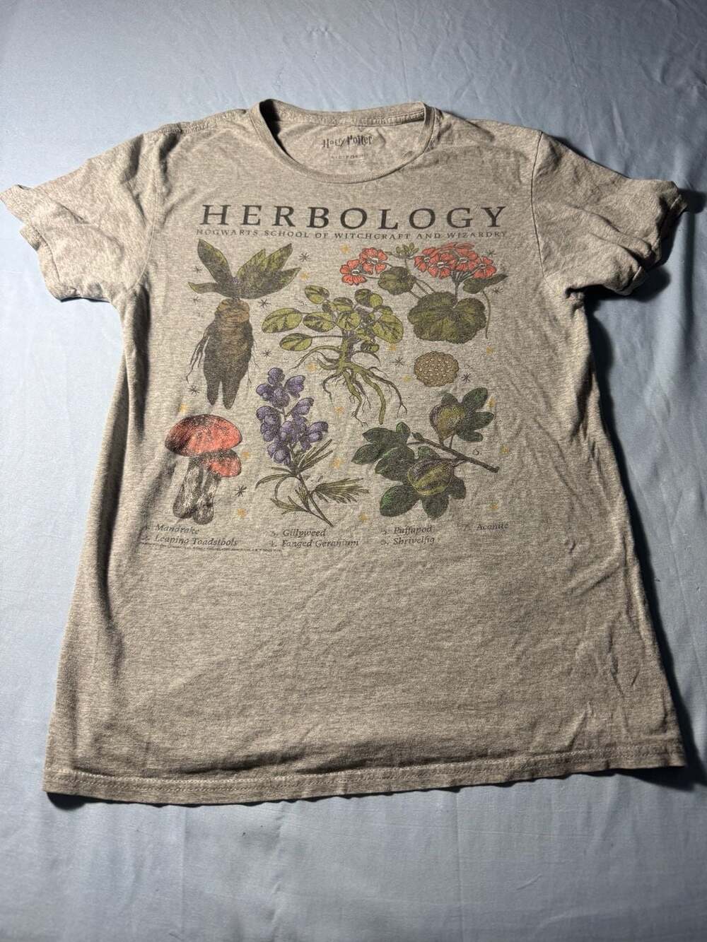 Harry Potter Hogwarts Herbology Plants Graphic T-Shirt Heather Gray Size Small